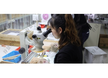 貼片共模電感方向如何區(qū)分你知道嗎？